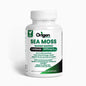 Sea Moss